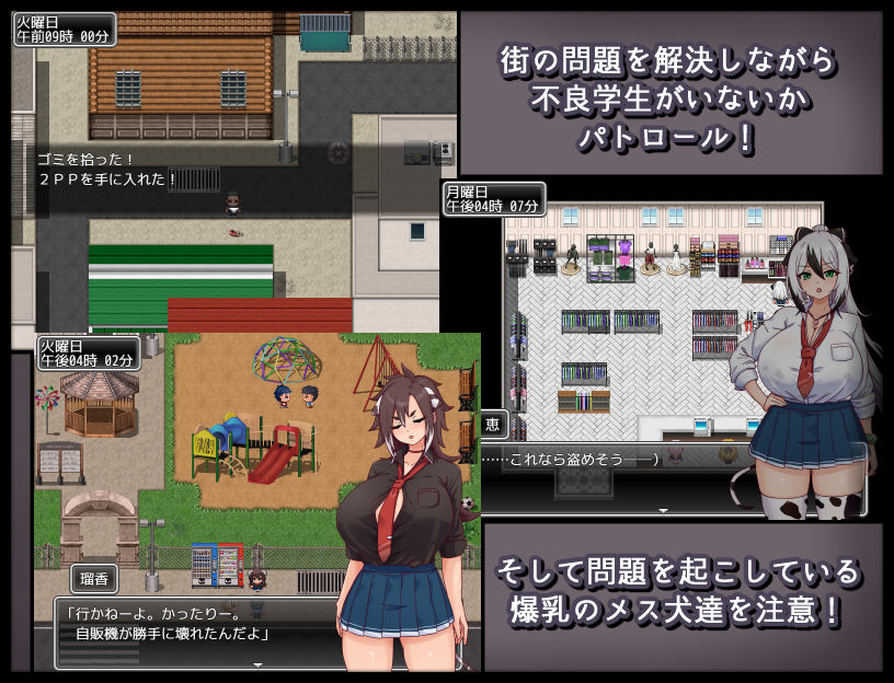 メス犬トレーニング 画像6
